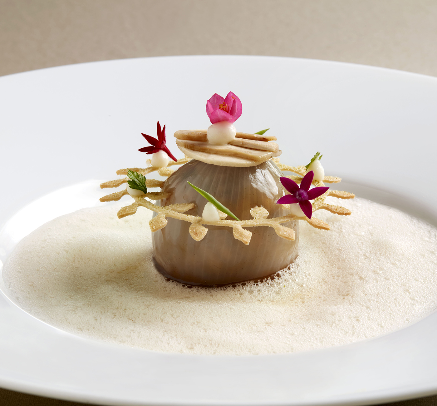 dish preview